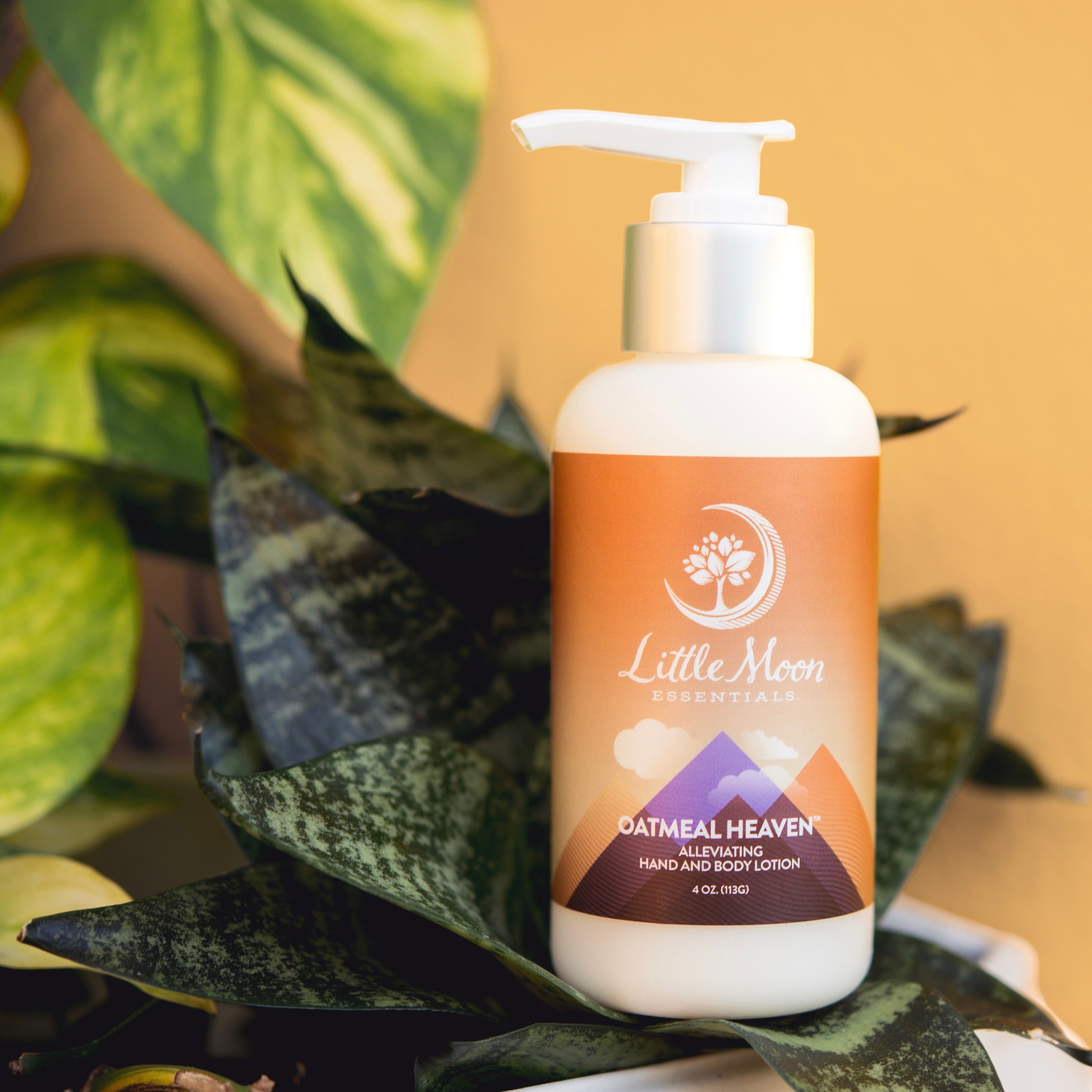 Oatmeal Heaven™ Lotion - Little Moon Essentials