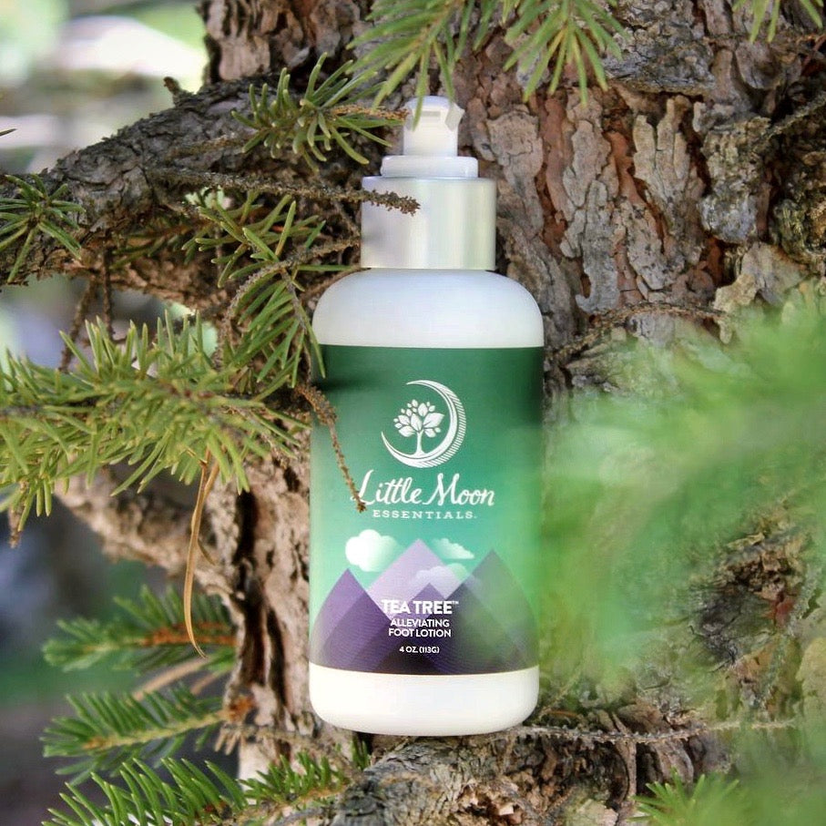 Tea Tree Foot Lotion - Little Moon Essentials